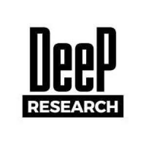 Deepsolutionsdoo logo